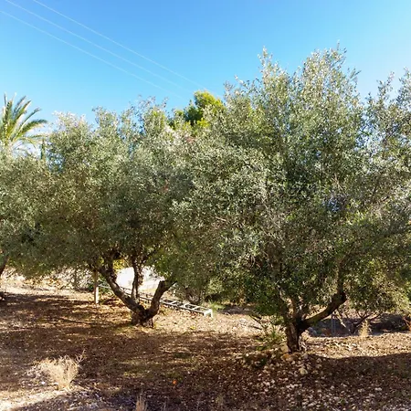 Olivos Con Piscina Vakantiehuis Jávea